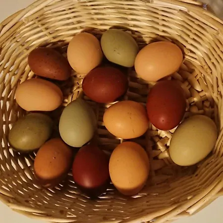 Muellers Muehle בית חווה