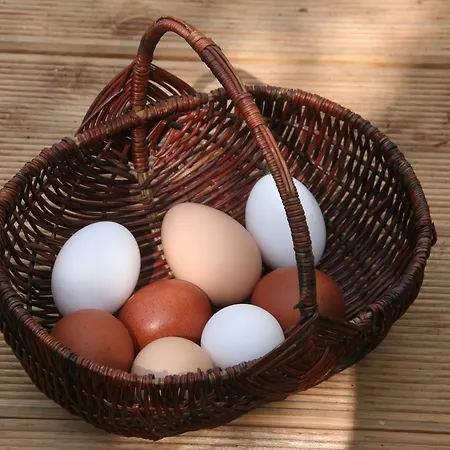 בית חווה Muellers Muehle גרוסנהיין