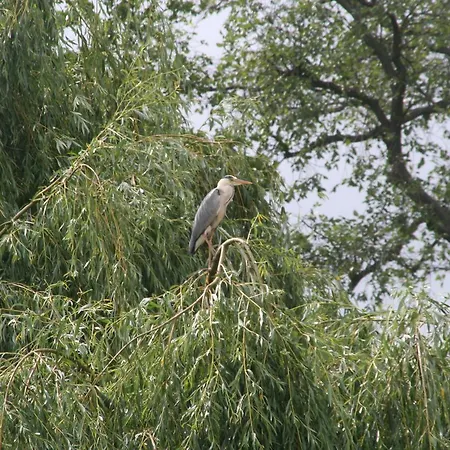 Muellers Muehle בית חווה