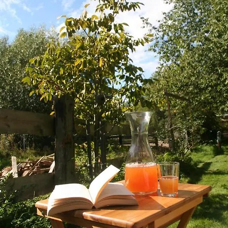 Müllers Mühle Grossenhain