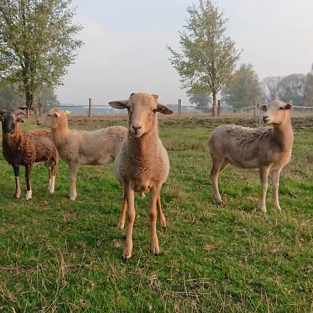 Muellers Muehle Farm stay *