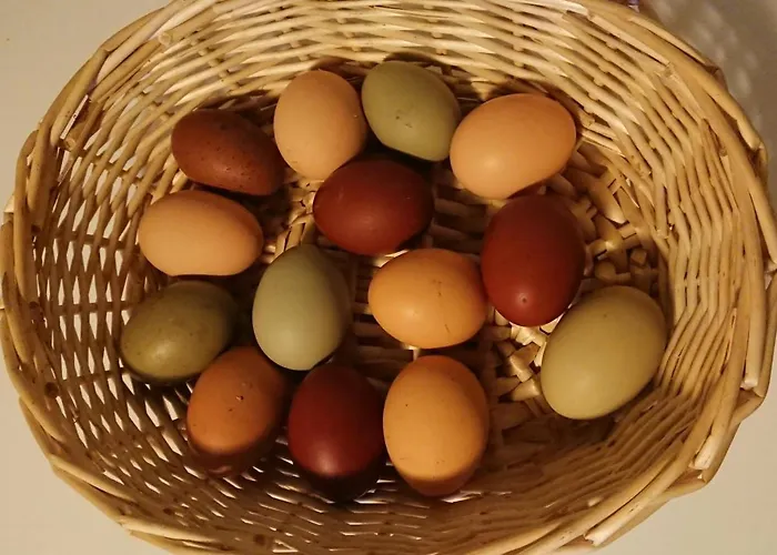 Muellers Muehle مزرعة للإقامة