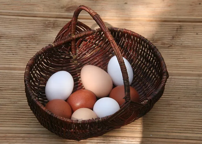 مزرعة للإقامة Muellers Muehle وغروسنهاين