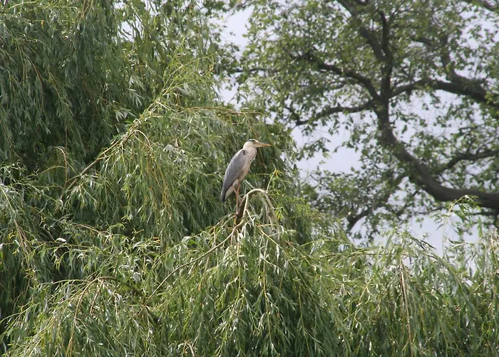 Muellers Muehle مزرعة للإقامة