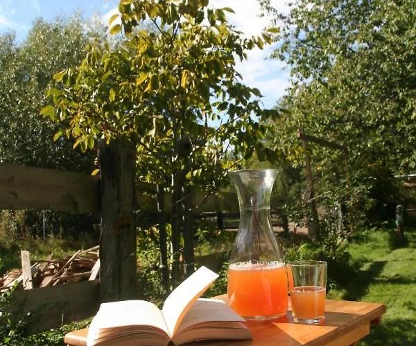 Muellers Muehle 格罗森海恩