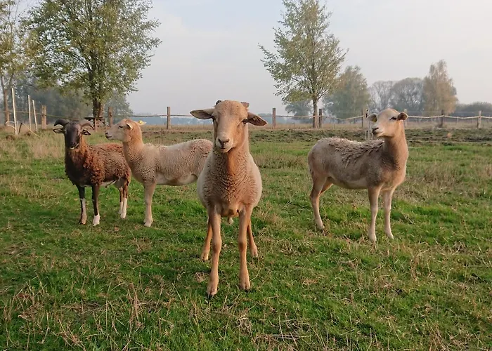 Muellers Muehle مزرعة للإقامة *